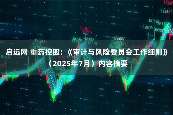启远网 重药控股: 《审计与风险委员会工作细则》（2025年7月）内容摘要