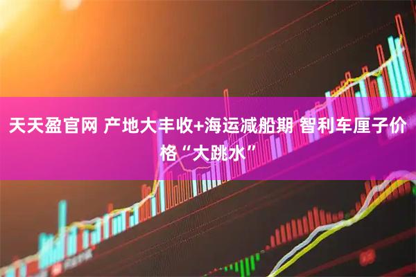 天天盈官网 产地大丰收+海运减船期 智利车厘子价格“大跳水”