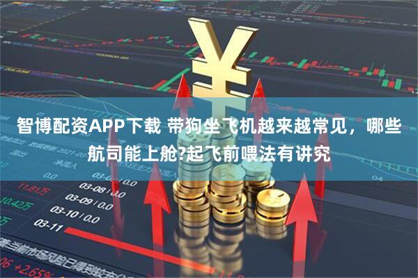 智博配资APP下载 带狗坐飞机越来越常见，哪些航司能上舱?起飞前喂法有讲究