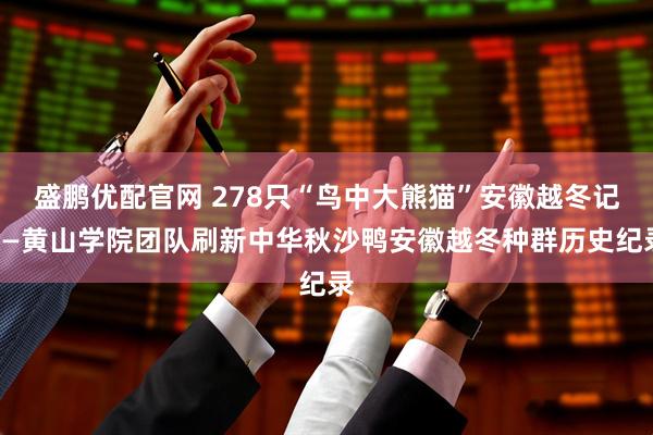 盛鹏优配官网 278只“鸟中大熊猫”安徽越冬记——黄山学院团队刷新中华秋沙鸭安徽越冬种群历史纪录